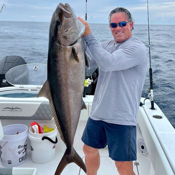Greater Amberjack