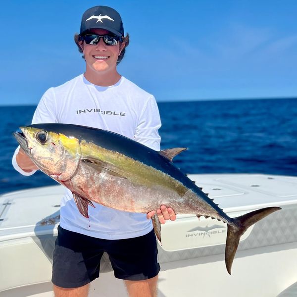 Blackfin Tuna, also known as the football.