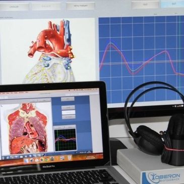 I tried Kim's scan because I had a positive PSA and I'm scared.   Within 24 hours of her scanning an