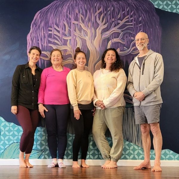 Yoga Meditation Workshops, Yoga alliance, Yoga CEUS, RYT 200, RYT 500, Yoga Therapist