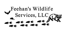 Feehan's Wildlife Services
