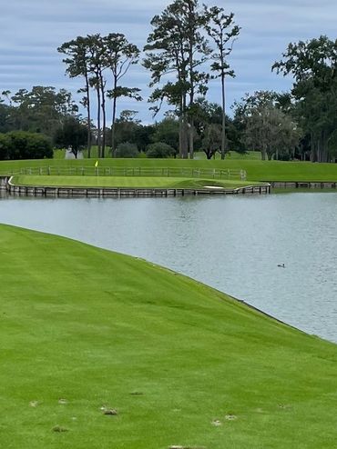Sawgrass 17