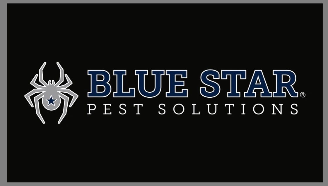 Blue Star Pest Solutions Blue Star Pest Solutions