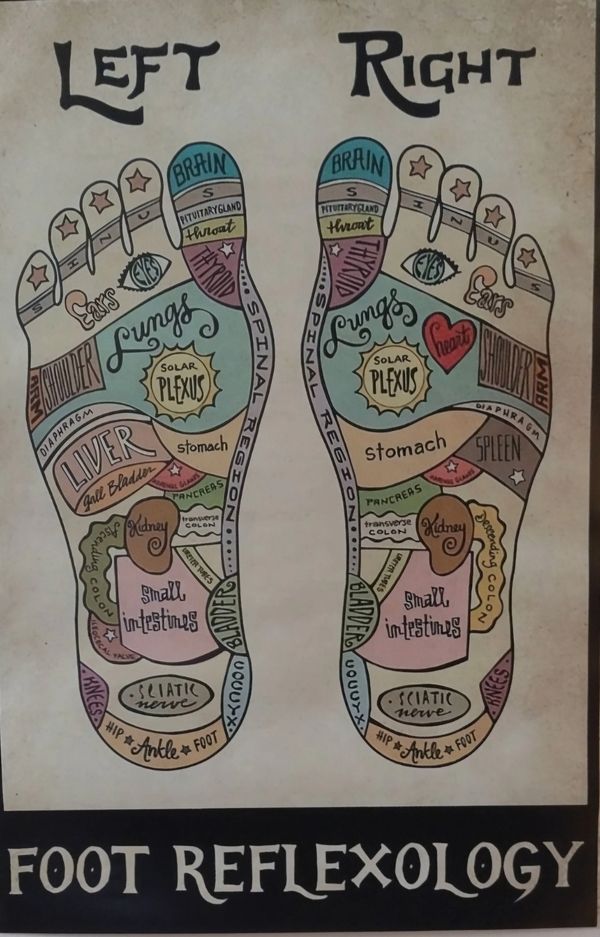 Illustration of foot reflexology showing organs and body parts linked to foot zones.