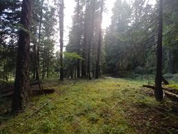 Nice potential building sites.