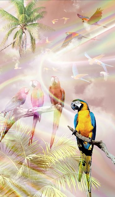 Vögel Lenormand Design von Christin Ladwig