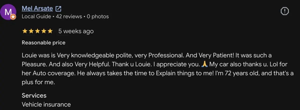 Positive review praising Louie's professionalism and helpfulness.
