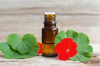 Geranium Essential Oil