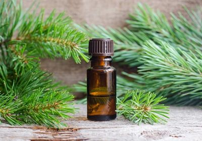 Pine Essential Oil
