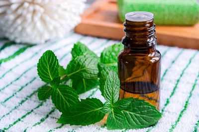 Spearmint Essential Oil