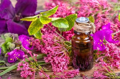 Clary Sage Essential Oil