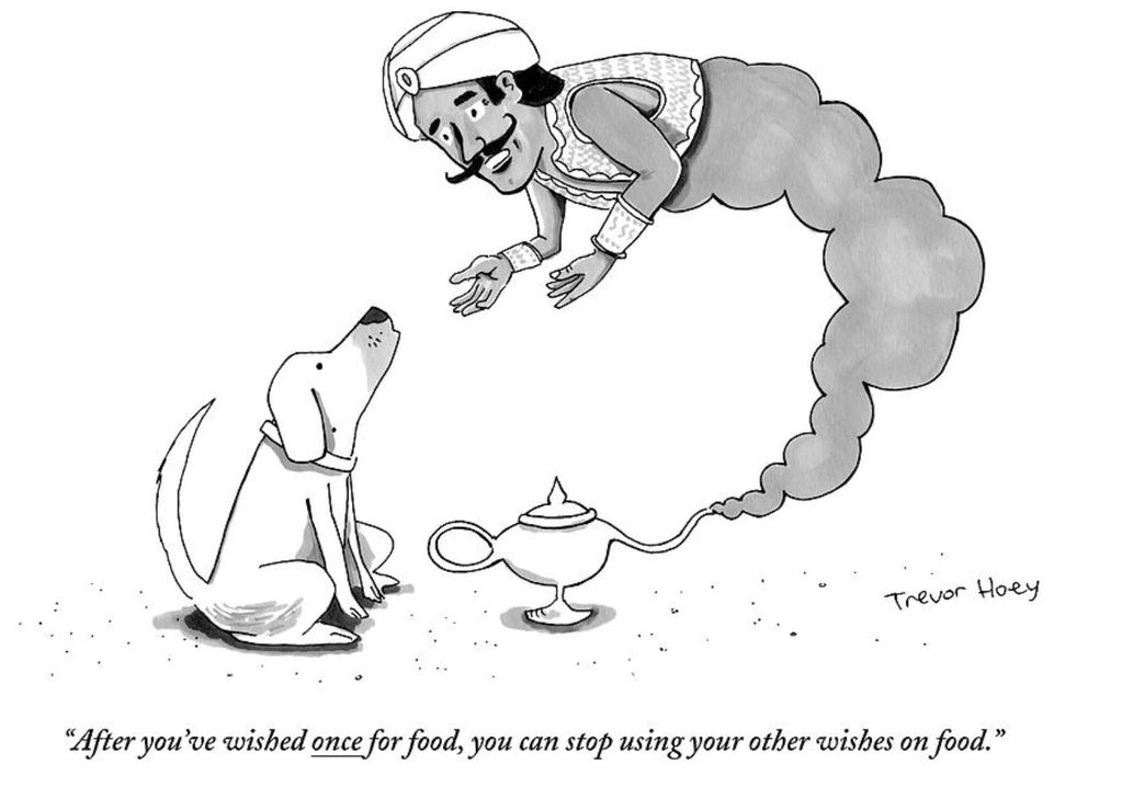 A genie offers a dog's wish for food.