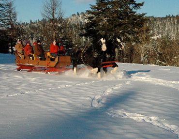 Horse-drawn sleigh carrying bundled passengers through snowy terrain.