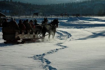 Horse-drawn sleigh carrying guests through the snow at Stillwater Ranch.