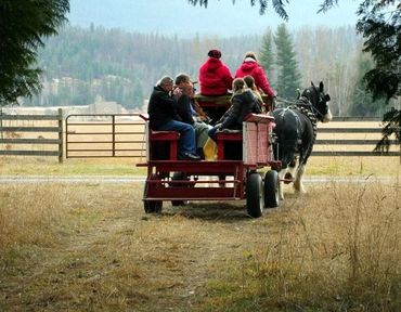 Guests riding in a horse-drawn wagon along a ranch trail at Stillwater Ranch.