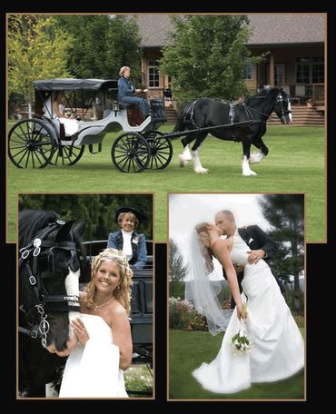 Wedding collage with a bride, groom, and a black-and-white Shire horse-drawn carriage.