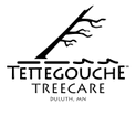 Tettegouche Treecare
