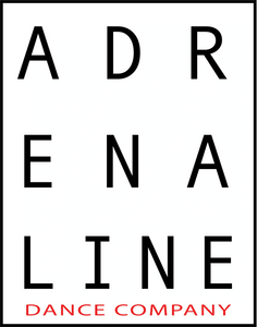 Dance Studio Miami Dance Company