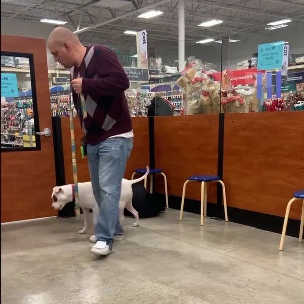 Man with dog on leash in a pet store.