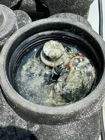 Water Treatment Maintenance