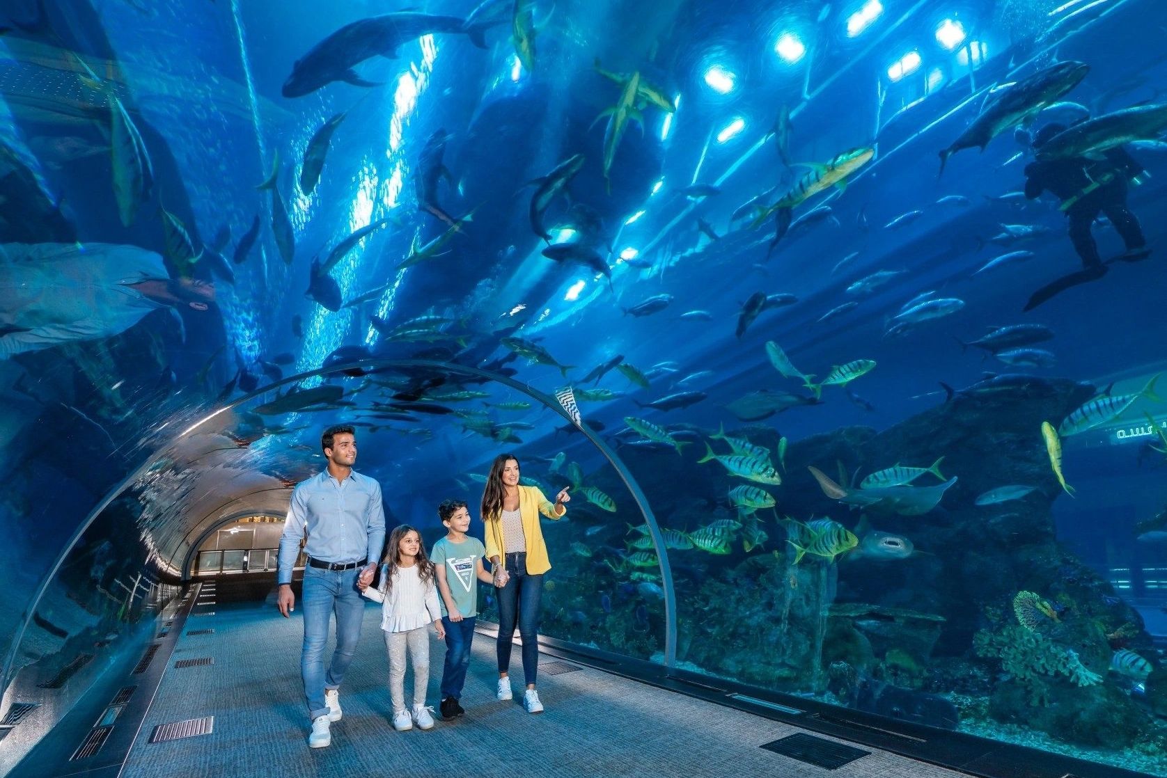 underwater tunnel aquarium in india
marine tunnel
aquarium tunnel construction
underwater fish tunne