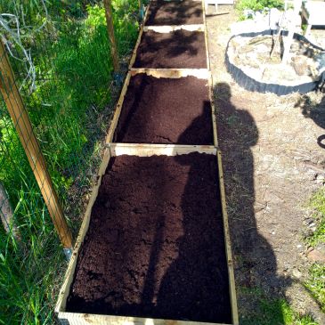 Newly prepared garden beds filled with soil.