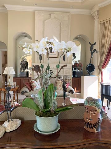 white phalaenopsis orchids arranged in a green container with air plants and green moss