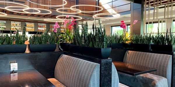 orchids and sansevieria plants in a restaurant environment
