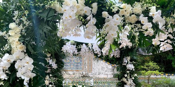 white phalaenopsis orchids on a wedding chuppah