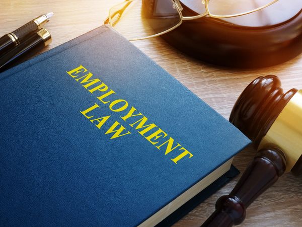 Employment Law is written on it