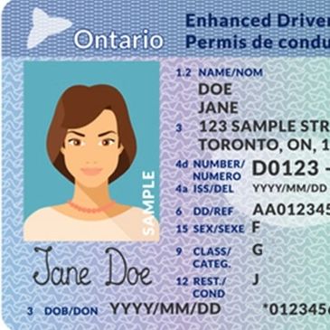 G Driving Licence sample image | Excellence Driving School