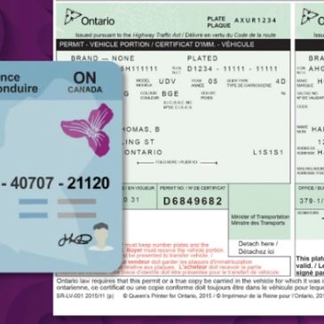 G1 Driving Licence example | Excellence Driving School