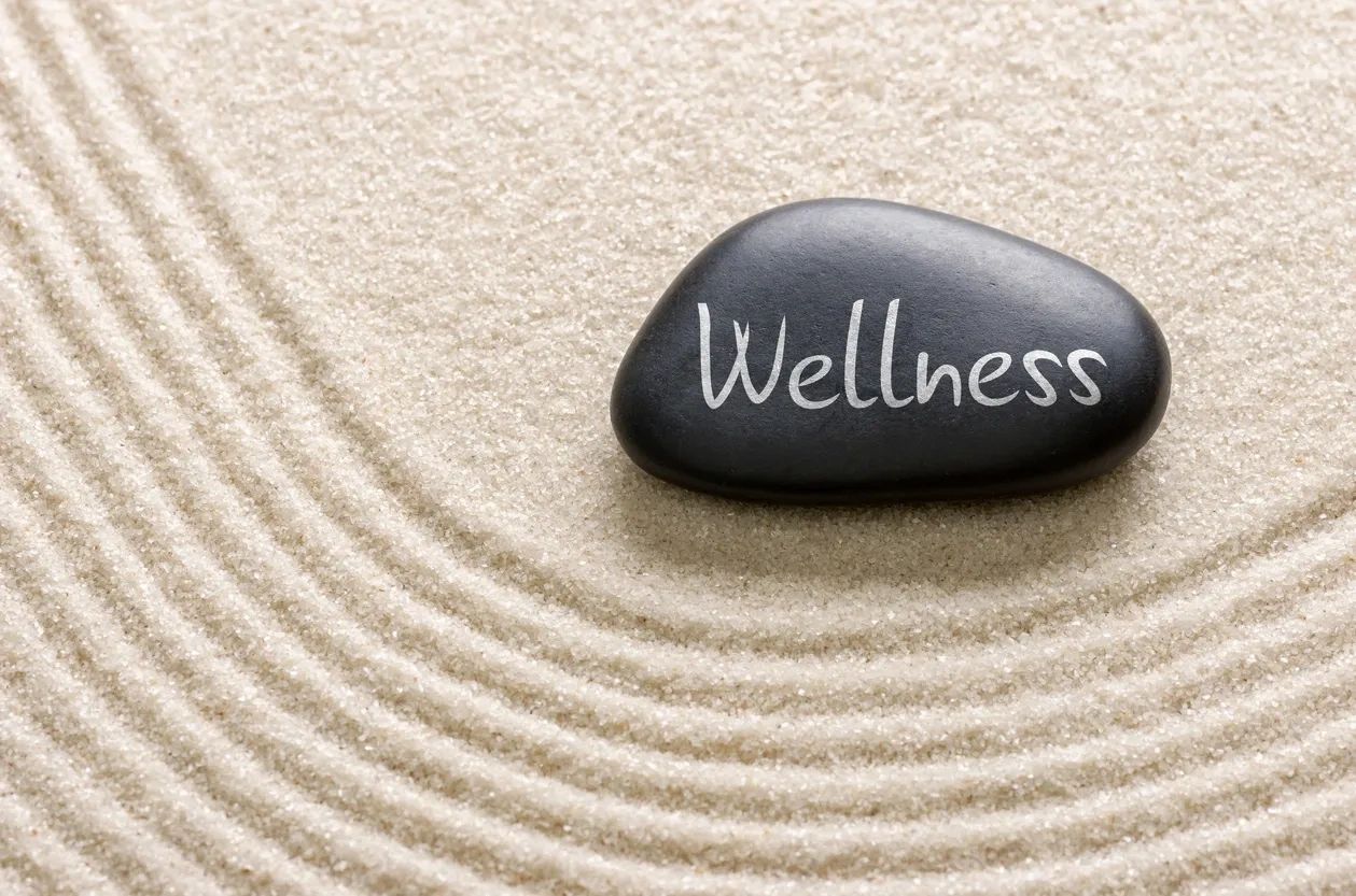 Black stone with 'Wellness' on sand with concentric circles.