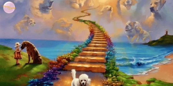 pets crossing rainbow bridge