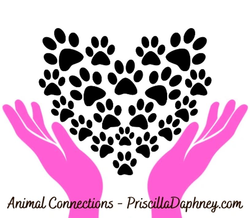 <img src="image.jpg" alt="logo with heart and paws">