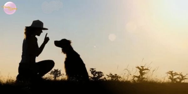 silohouette woman whispering to dog