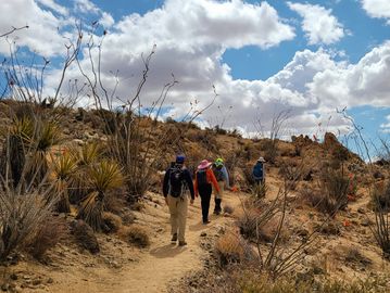 Four hikers be guided to the Lost Palms Oasis.