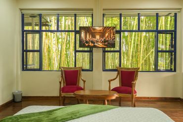 Vista a guadual de habitacion suite para pareja en el quindio