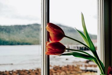 stock photo photography