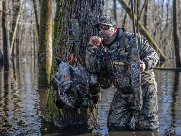 Chad Belding hunting mallard ducks