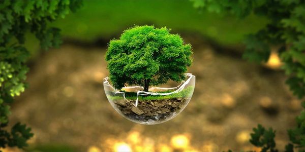 Sustainability and Community