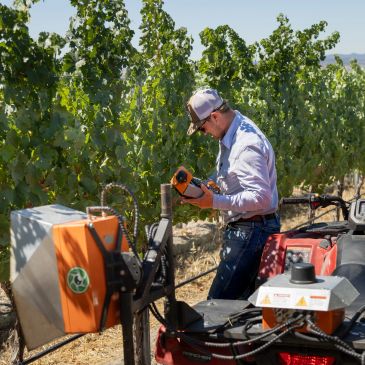 Man inspecting agricultural equipment in vineyard.