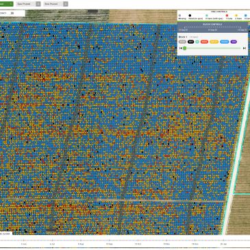 Heat map of a field showing plant health variations.