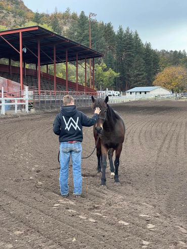 Student in arena Tygh Valley Fairgrounds. Making a connection with a horse stroking his face.