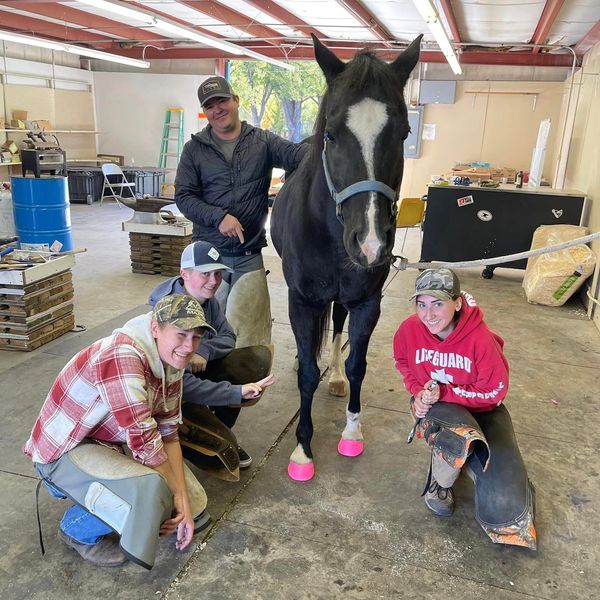 Group of four farrier students next to a black horse in the shop. 