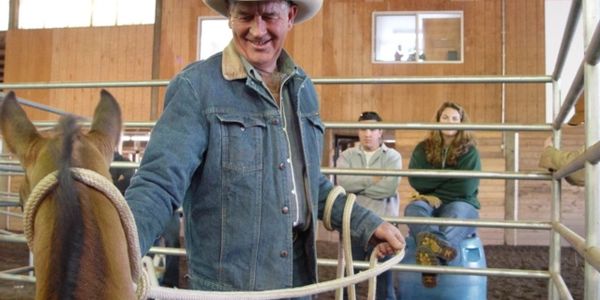Carl Longanecker cowboy and farrier handling a baby foal in the round pen inside an arena.