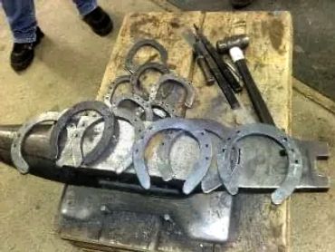 Series of horseshoes made by farrier students on an anvil.