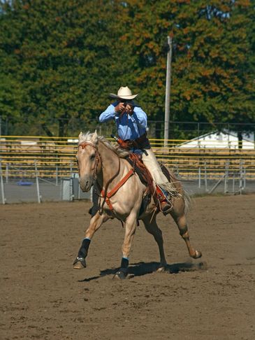 Mark Plumlee riding a blonde horse wearing a blue shirt, cowboy mounted shooting. 