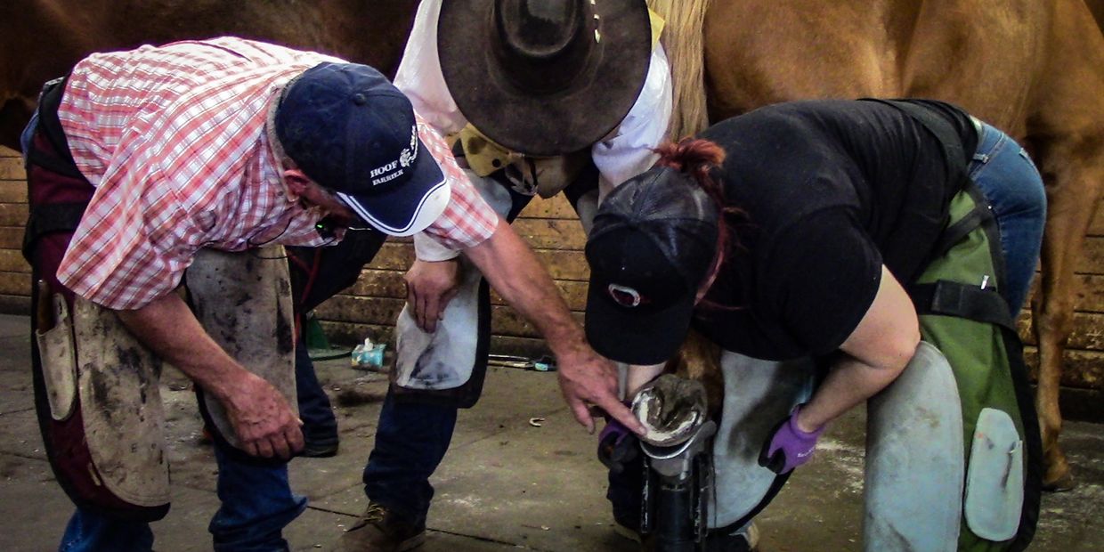 Two farrier students working on a hind foot. Instructor Mark Plumlee is pointing to the live sole. 
