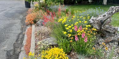 healthy and safe lawn and garden care. reduce water usage and pesticides naturally